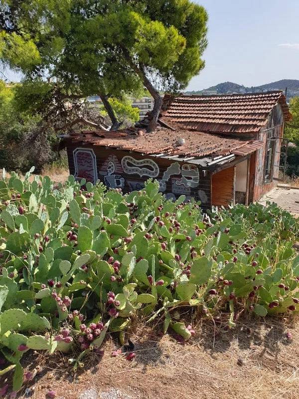 It’s Time For Nature To Reclaim What Is Hers!