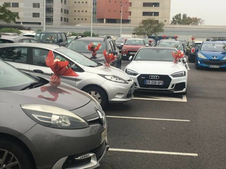 After Being Forced To Throw Away Unsold Flowers, This Florist Placed Bouquets Of Them On Hospital Caregivers’ Cars