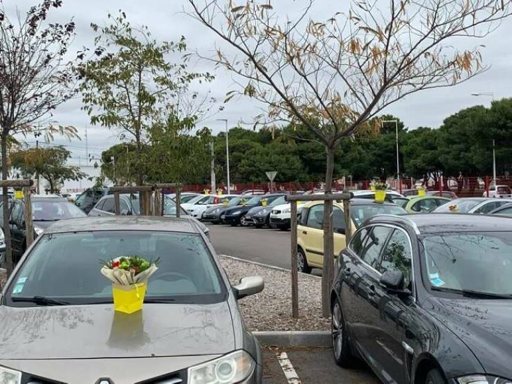 After Being Forced To Throw Away Unsold Flowers, This Florist Placed Bouquets Of Them On Hospital Caregivers’ Cars