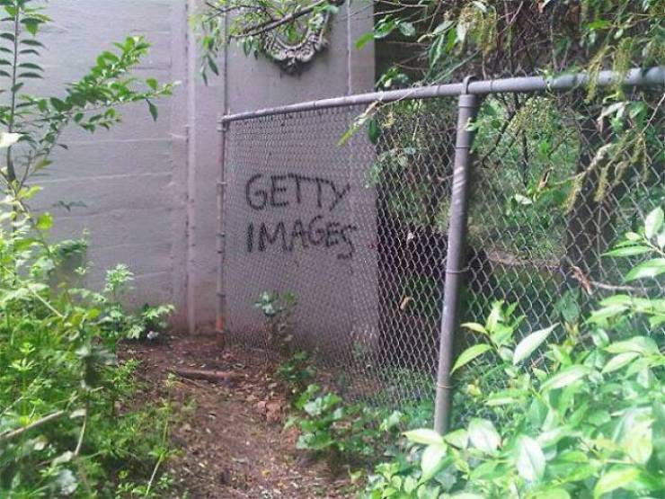 Mild Vandalism Is Acceptable