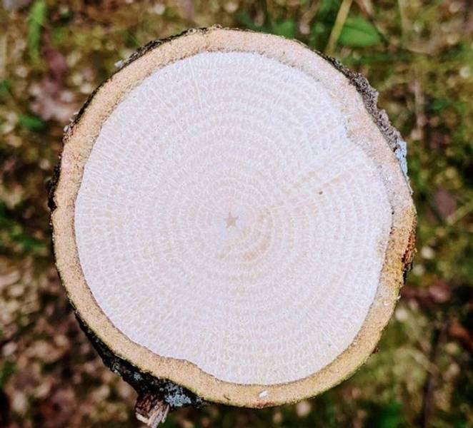 Perfectionists, It’s Your Lucky Day!