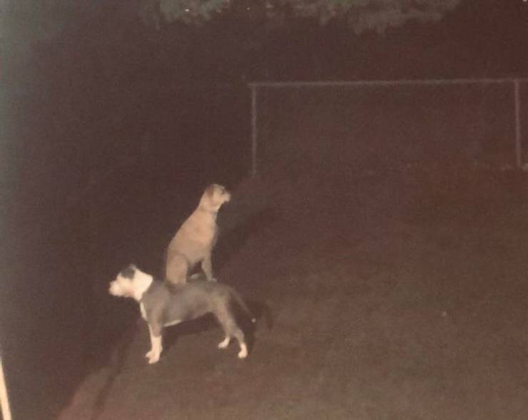 Wait, Look Again!