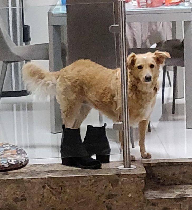 Wait, Look Again!