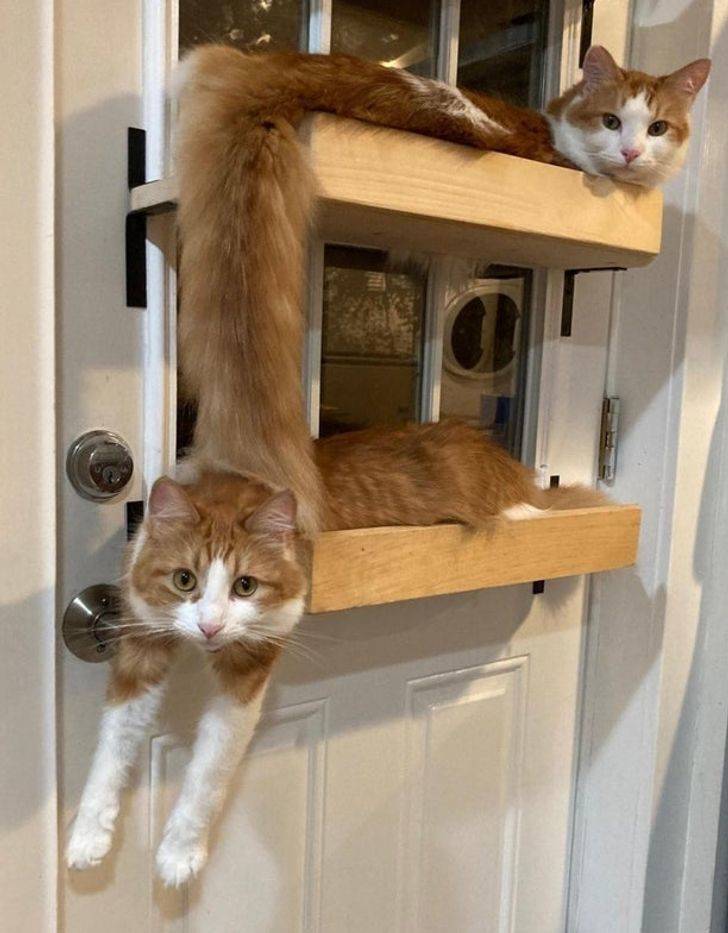 Wait, Look Again!