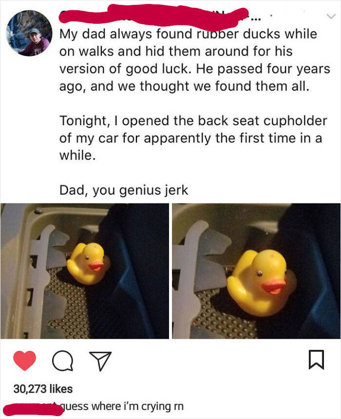 Parents Can Be Extremely Wholesome!