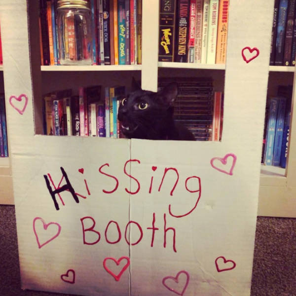Kissing Booths Vs Hissing Booths