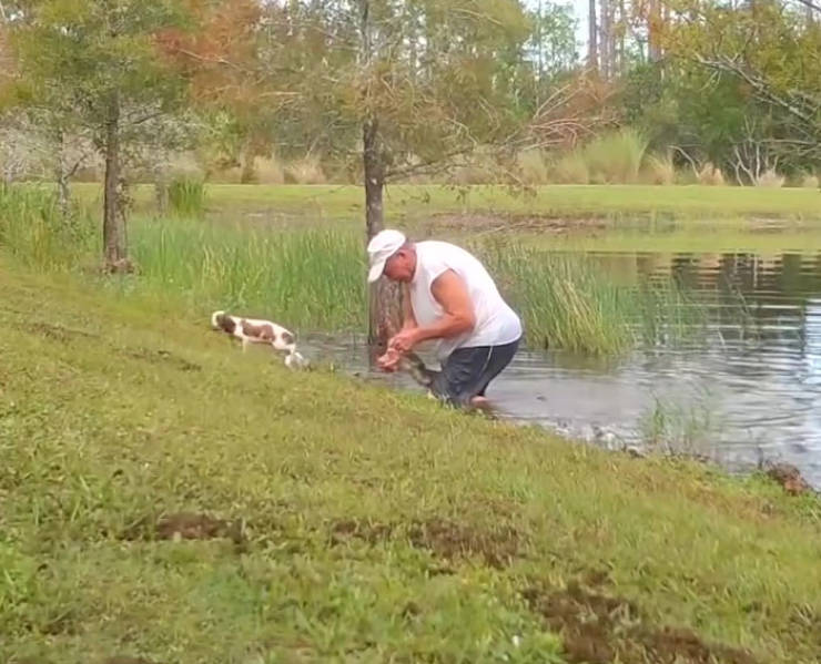 Florida Man Saves His Puppy From A Juvenile Alligator