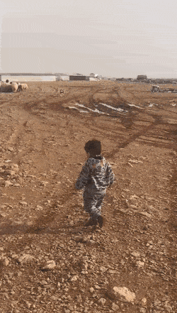 Daily Gifdump Daily Gifdump