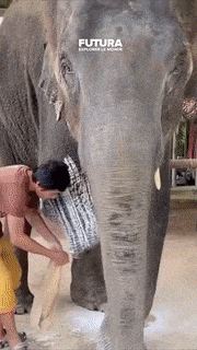 Daily Gifdump Daily Gifdump