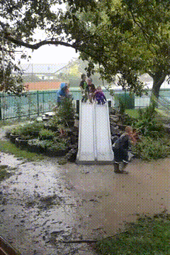 Daily Gifdump Daily Gifdump