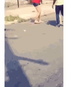 Daily Gifdump Daily Gifdump