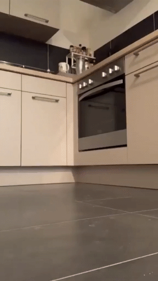 Daily Gifdump Daily Gifdump