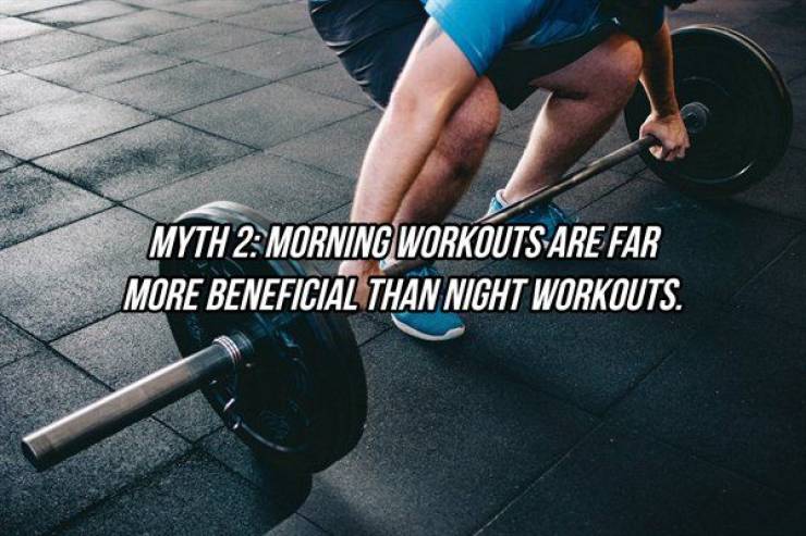 There Are So Many Myths About Fitness…