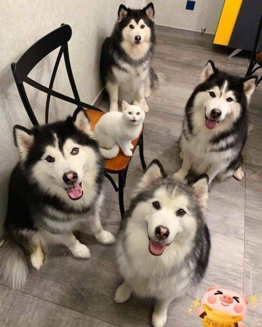These Are Some Good, Good Boys And Girls!