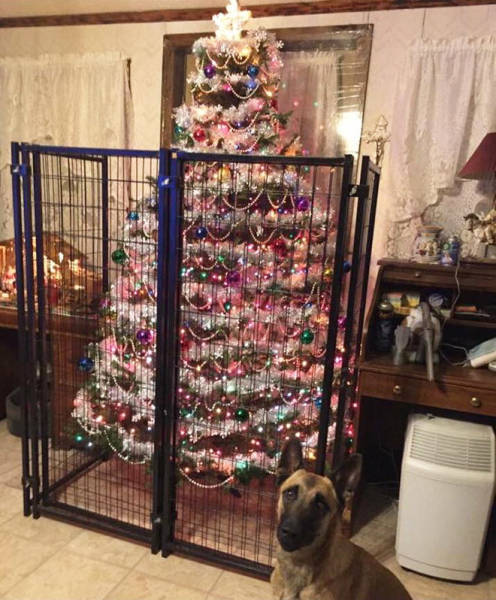 How To Save Your Christmas Tree From Your Pets