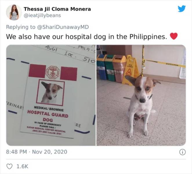 Hospital Hires A Dog Whose Job Is To Cheer People Up