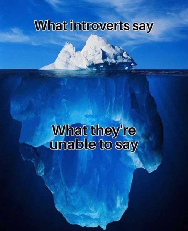 Introverts Will Enjoy These Memes On Their Own