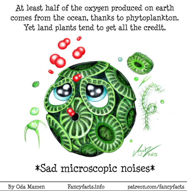 Scientific Facts Illustrated In An Approachable Way