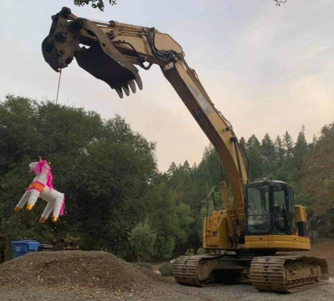 Daily Picdump [WEEKEND EDITION]