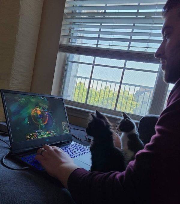 Gaming Is Always There For You