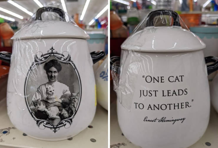 There Are No Limits To What You Can Find At A Thrift Store…