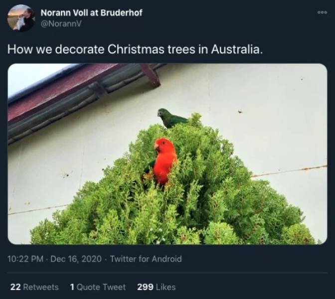 What Christmas Is Like In Australia…