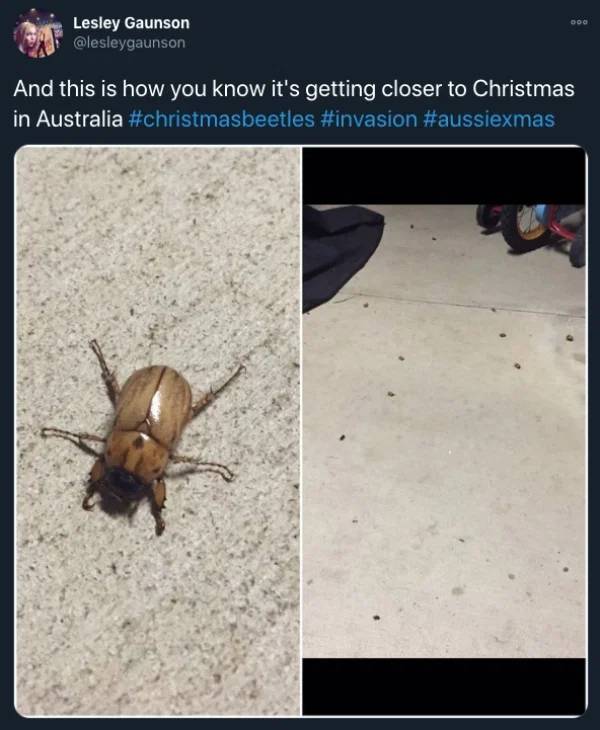 What Christmas Is Like In Australia…