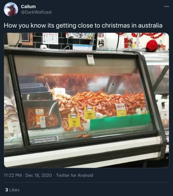 What Christmas Is Like In Australia…