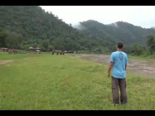 Elephants React To The Voice Of A Caretaker Who Saved Them From Abuse