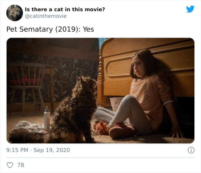 Do You Know If There Is A Cat In This Movie?