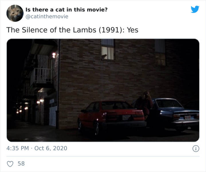 Do You Know If There Is A Cat In This Movie?