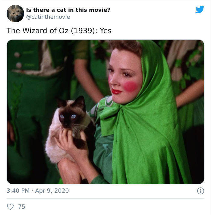 Do You Know If There Is A Cat In This Movie?