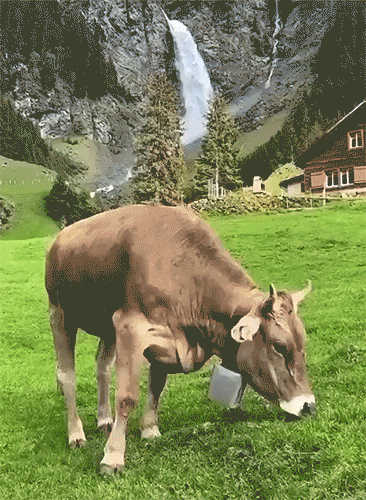What It Feels Like To Live In Switzerland