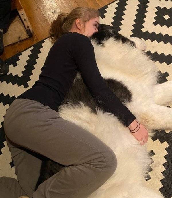 These Pets Are Real Big!