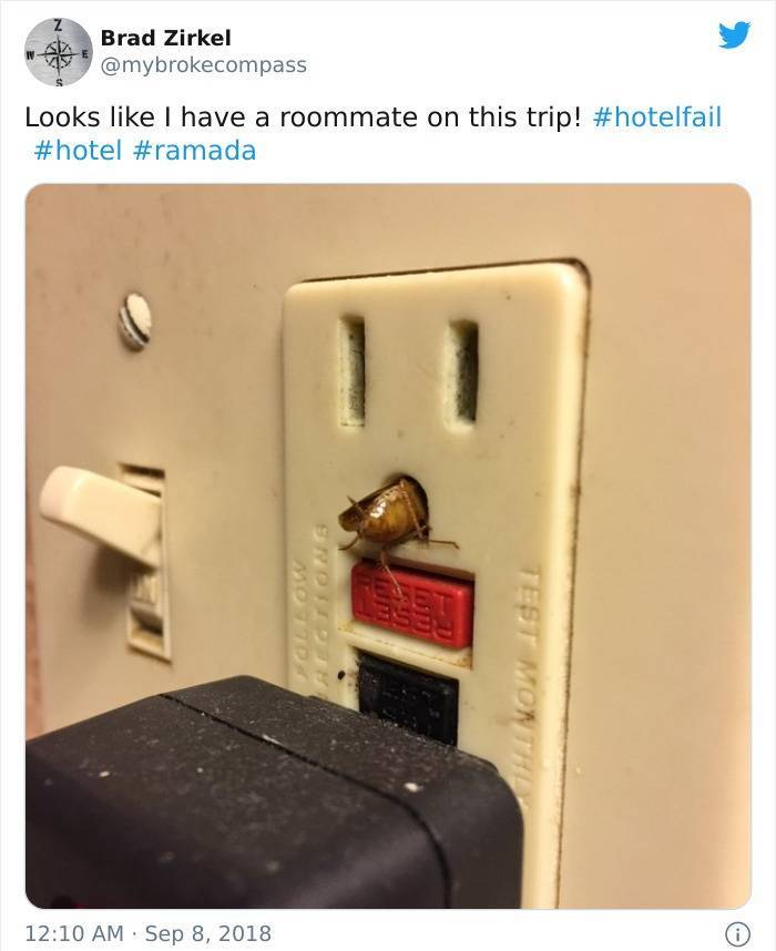 These Hotels Are The Worst!