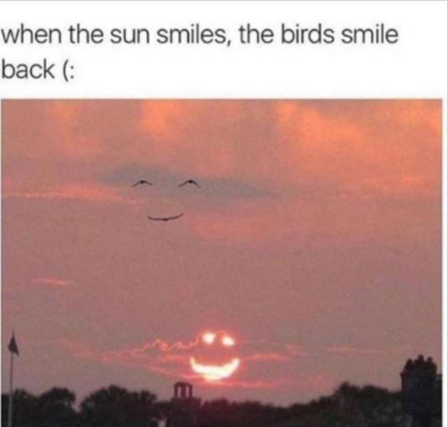 These Wholesome Memes Will Help You Relax!