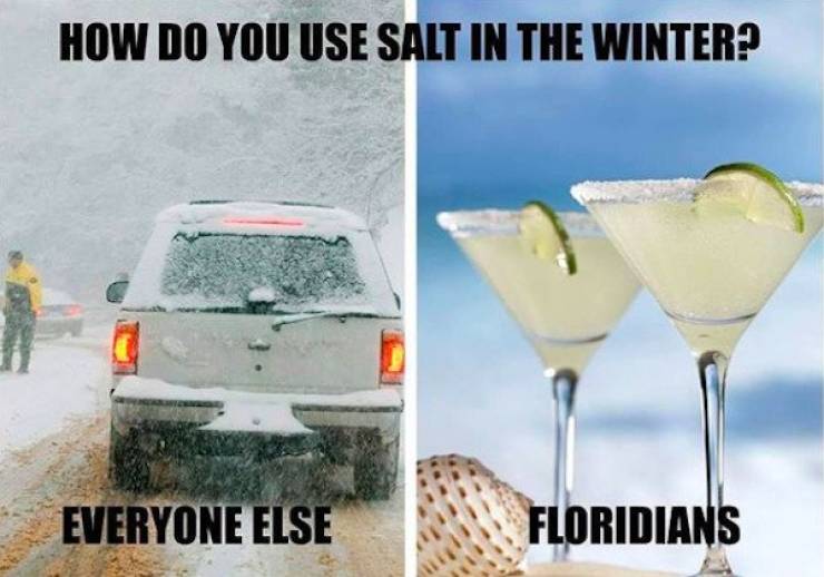 Florida Memes Are Just As Wild As Florida Itself…
