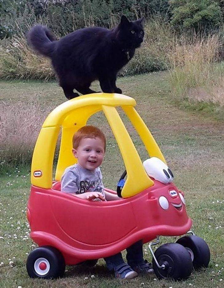 Kids And Pets Were Made For Each Other!