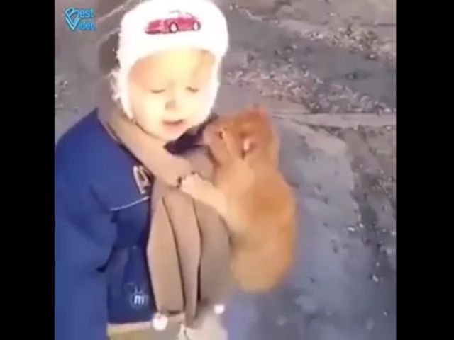 Cat Chooses Its New Owner