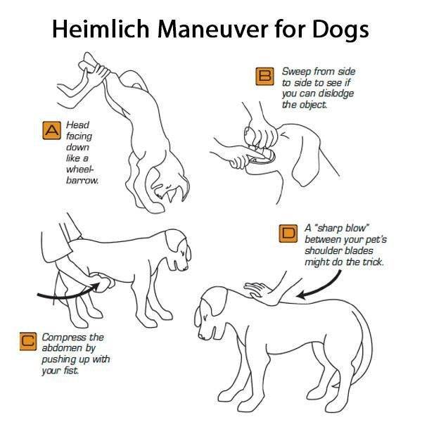 These Tips Will Be Helpful For Everyone!