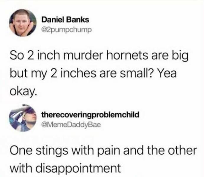 Some Insults Are Bad, And Some Are Just Brutal… Some Insults Are Bad, And Some Are Just Brutal…