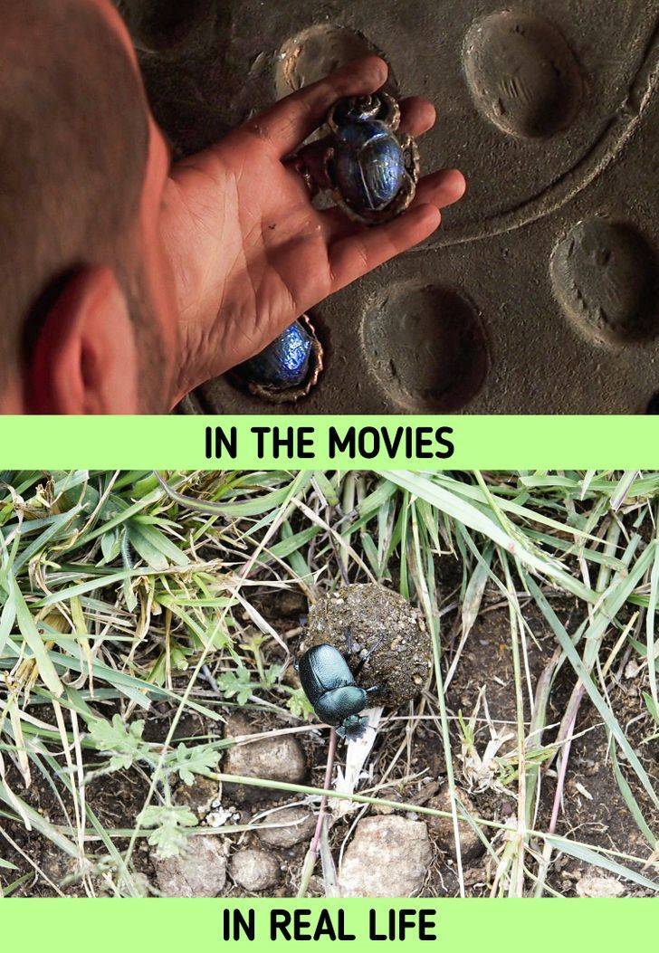 Things From Movies, But In Real Life