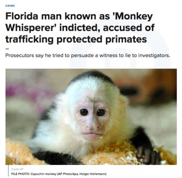 Florida Will Never Stop Being Florida…
