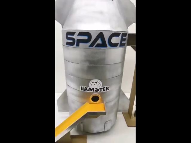 Hamster Space Program