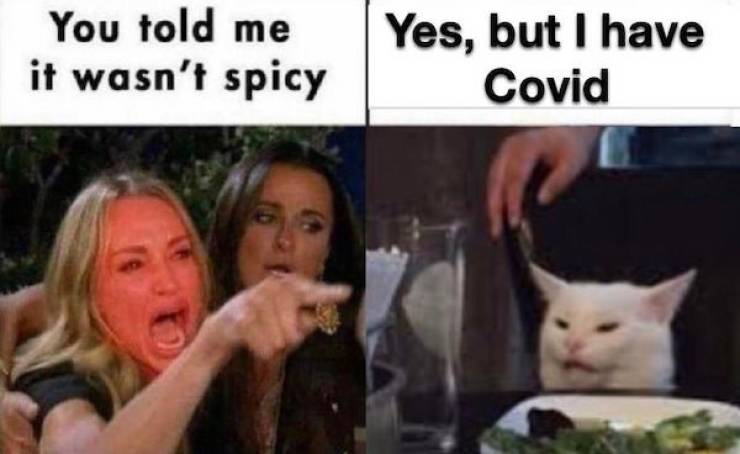 Coronavirus Memes Are Still Relevant…