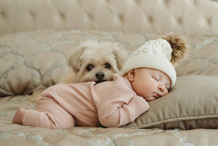 Why Your Kids Might Need A Dog…