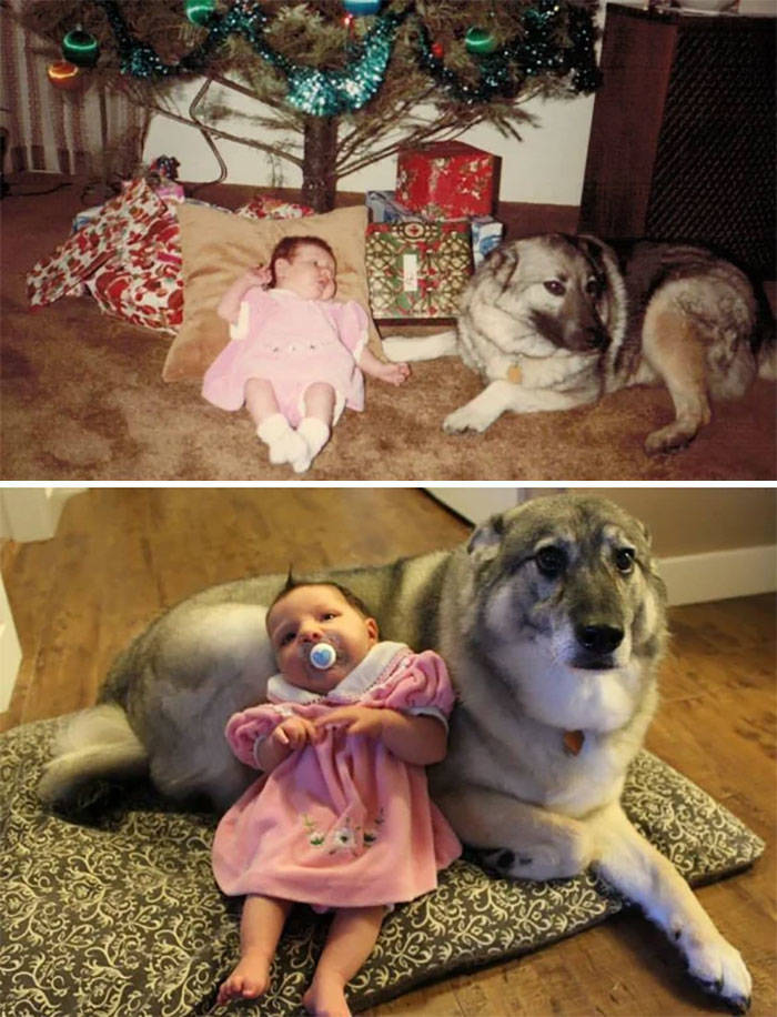 Why Your Kids Might Need A Dog…