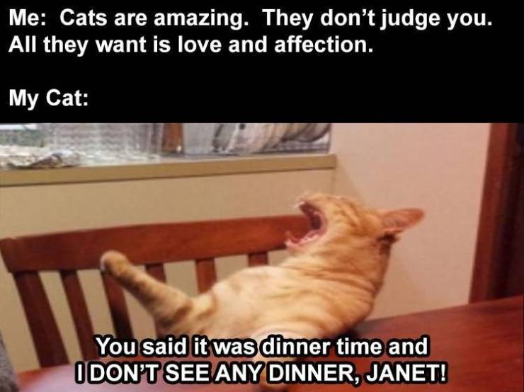 Funny Meme Pictures Of The Day