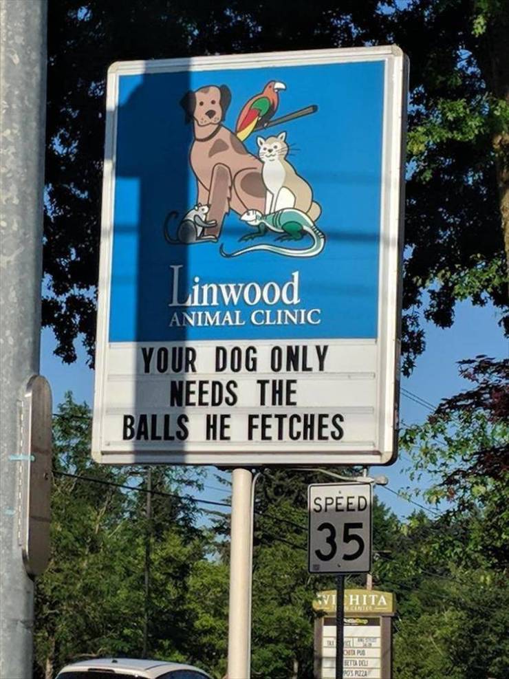 Funny Meme Pictures Of The Day