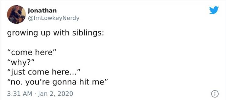 Having A Sibling Feels Exactly Like This…